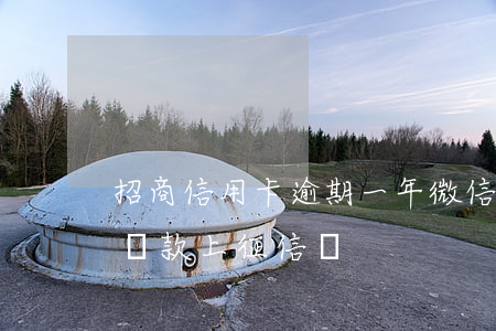 招商信用卡逾期一年微信還款(招商逾期4天還款上征信嗎)