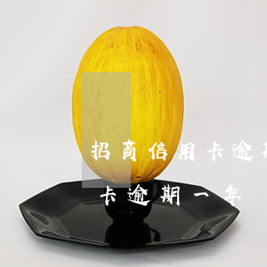招商信用卡逾期一年還清能解凍-招商信用卡逾期一年還清能解凍嗎