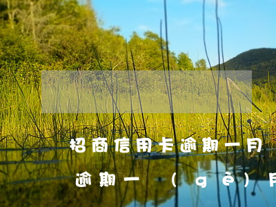 招商信用卡逾期一月嚴(yán)重嗎(招商逾期一個(gè)月會(huì)怎么樣)