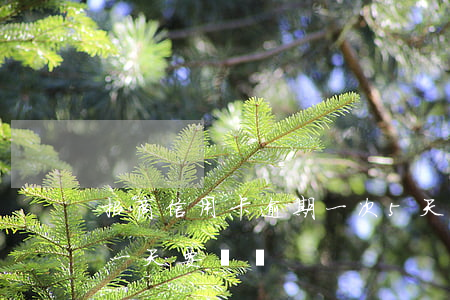招商信用卡逾期一次5天(招商的信用卡逾期一天要緊嗎)