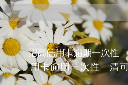 招商信用卡逾期一次性還清可減免-招商信用卡逾期一次性還清可減免利息嗎