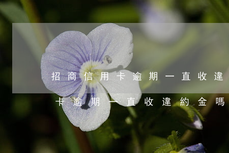 招商信用卡逾期一直收違約金嗎-招商信用卡逾期一直收違約金嗎怎么辦