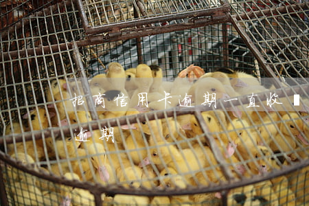 招商信用卡逾期一直收違約金嗎(招商信用卡 逾期)