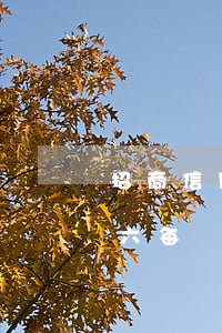 招商信用卡逾期一萬六(招商信用卡逾期一萬六每個(gè)月還1500)