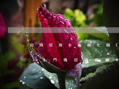 招商信用卡逾期七個(gè)月會(huì)上門嗎 招商逾期4個(gè)月會(huì)上門嗎
