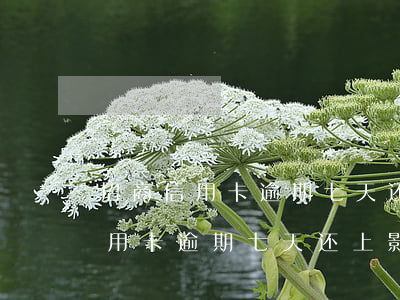 招商信用卡逾期七天还上影响大不-招商信用卡逾期七天还上影响大不大