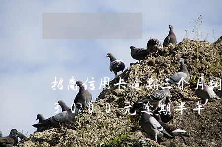 招商信用卡逾期三个月翻一倍-招商信用卡3000元逾期半年