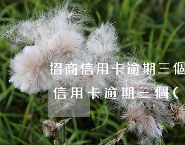 招商信用卡逾期三個(gè)月1萬元(招商信用卡逾期三個(gè)月1萬元利息多少)