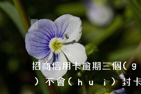 招商信用卡逾期三個(gè)月會(huì)不會(huì)封卡-招商信用卡逾期三個(gè)月會(huì)不會(huì)封卡了