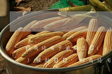 招商信用卡逾期三個(gè)月會(huì)被起訴嗎?-招商信用卡逾期三個(gè)月會(huì)被起訴嗎知乎