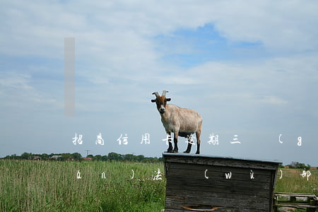 招商信用卡逾期三個(gè)月轉(zhuǎn)法務(wù)部門(mén)-招商逾期兩個(gè)月說(shuō)是要轉(zhuǎn)法務(wù)怎么辦