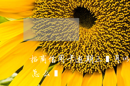 招商信用卡逾期三個月以內(招商逾期3個月怎么辦)