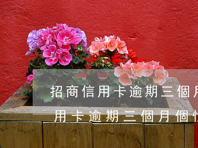招商信用卡逾期三個月個性化分期-招商信用卡逾期三個月個性化分期怎么辦