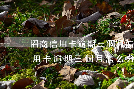 招商信用卡逾期三個月怎么分期還-招商信用卡逾期三個月怎么分期還款