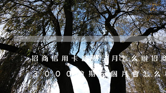 招商信用卡逾期三月怎么辦(招商銀行信用卡3000逾期三個月會怎么樣)