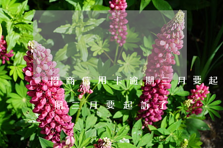 招商信用卡逾期三月要起訴了(招商信用卡逾期三月要起訴了)