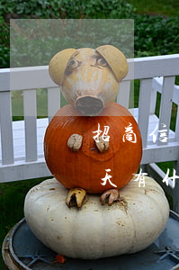 招商信用卡逾期上征信嗎(招商信用卡逾期一天有什么影響?上征信嗎?)