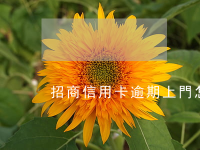 招商信用卡逾期上門怎么辦(招商逾期上門了)