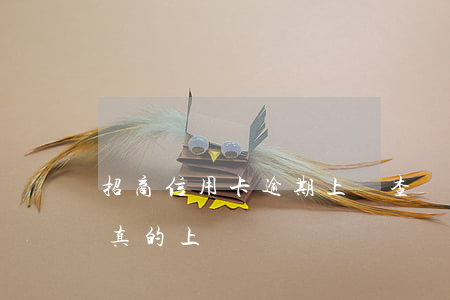 招商信用卡逾期上門查詢(2020招商逾期真的上門嗎)