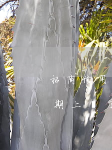 招商信用卡逾期上門能否減免利息-招商逾期上門了