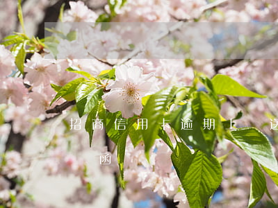 招商信用卡逾期上門送律師函(招商逾期寄律師函)