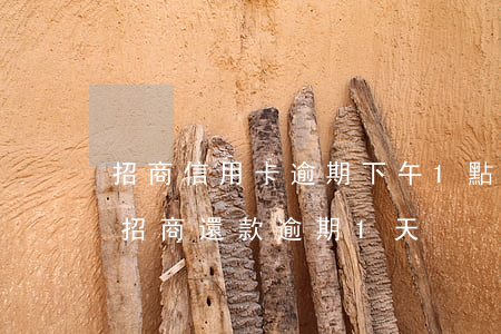 招商信用卡逾期下午1點(diǎn)還款(招商還款逾期1天)