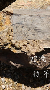 招商信用卡逾期不予協(xié)商(招商銀行不肯協(xié)商)
