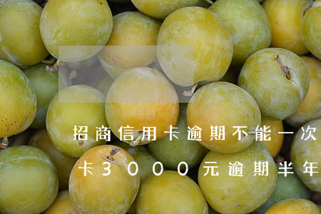 招商信用卡逾期不能一次性還清-招商信用卡3000元逾期半年