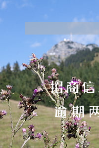 招商信用卡逾期两个月被冻结了(招商信用卡逾期两个月被冻结了怎么办)