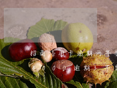 招商信用卡逾期两年利息是多少(招商信用卡4000逾期3年需要还多少)