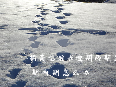 招商信用卡逾期两期怎么办理（招商信用卡逾期两期怎么办）