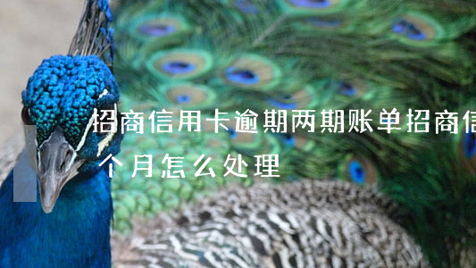 招商信用卡逾期两期账单(招商信用卡逾期一个月怎么处理)