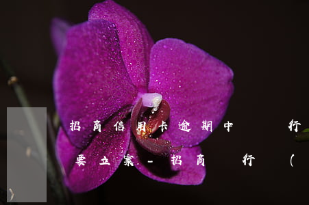 招商信用卡逾期中國銀行發(fā)信息說要立案-招商銀行發(fā)來短信說逾期時間較長要向公安機(jī)關(guān)報案