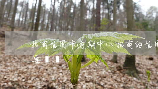 招商信用卡逾期中心(招商的信用卡逾期一天要緊嗎)