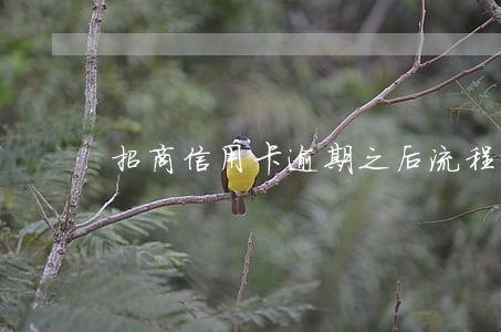 招商信用卡逾期之后流程(招商逾期處理流程)