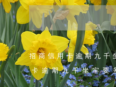 招商信用卡逾期九千坐牢要多久-招商信用卡逾期九千坐牢要多久才能用