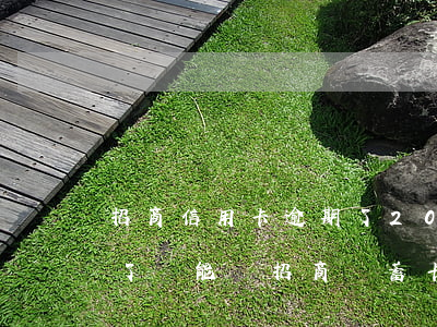 招商信用卡逾期了2000(招商信用卡逾期了還能辦招商儲蓄卡嗎)