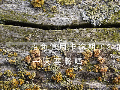 招商信用卡逾期了20天(招商的信用卡逾期一天要緊嗎)