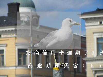 招商信用卡逾期了6天嚴(yán)重嗎(招商逾期兩天會(huì)怎么樣)