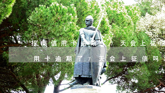 招商信用卡逾期了7天会上征信吗-招商信用卡逾期了7天会上征信吗怎么办