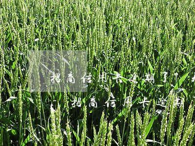 招商信用卡逾期了7天會(huì)封卡嗎-招商信用卡逾期了7天會(huì)封卡嗎怎么辦