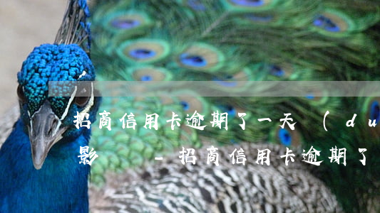 招商信用卡逾期了一天對(duì)征信有影響嗎-招商信用卡逾期了一天對(duì)征信有影響嗎