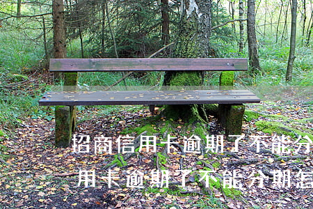 招商信用卡逾期了不能分期怎么辦-招商信用卡逾期了不能分期怎么辦呢