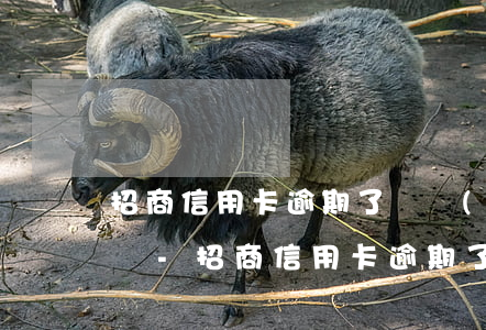 招商信用卡逾期了凍結(jié)了怎么解凍-招商信用卡逾期了凍結(jié)了怎么解凍呢