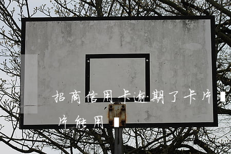 招商信用卡逾期了卡片異常(招商逾期還了卡片能用嗎)