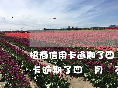 招商信用卡逾期了四個月還不上-招商信用卡逾期了四個月還不上怎么辦