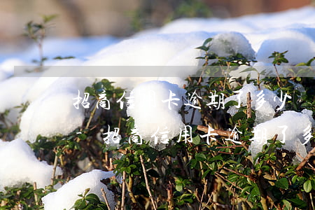 招商信用卡逾期了多少會(huì)上征信-招商信用卡逾期了多少會(huì)上征信報(bào)告