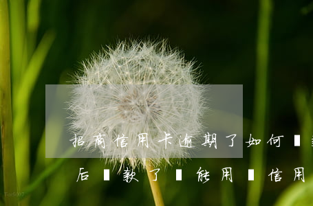 招商信用卡逾期了如何還款(招商銀行逾期以后還款了還能用嗎信用卡)