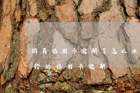 招商信用卡逾期了怎么办理信用卡-招商银行的信用卡逾期