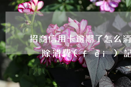 招商信用卡逾期了怎么消除記錄(招行信用卡 刪除消費(fèi)記錄)